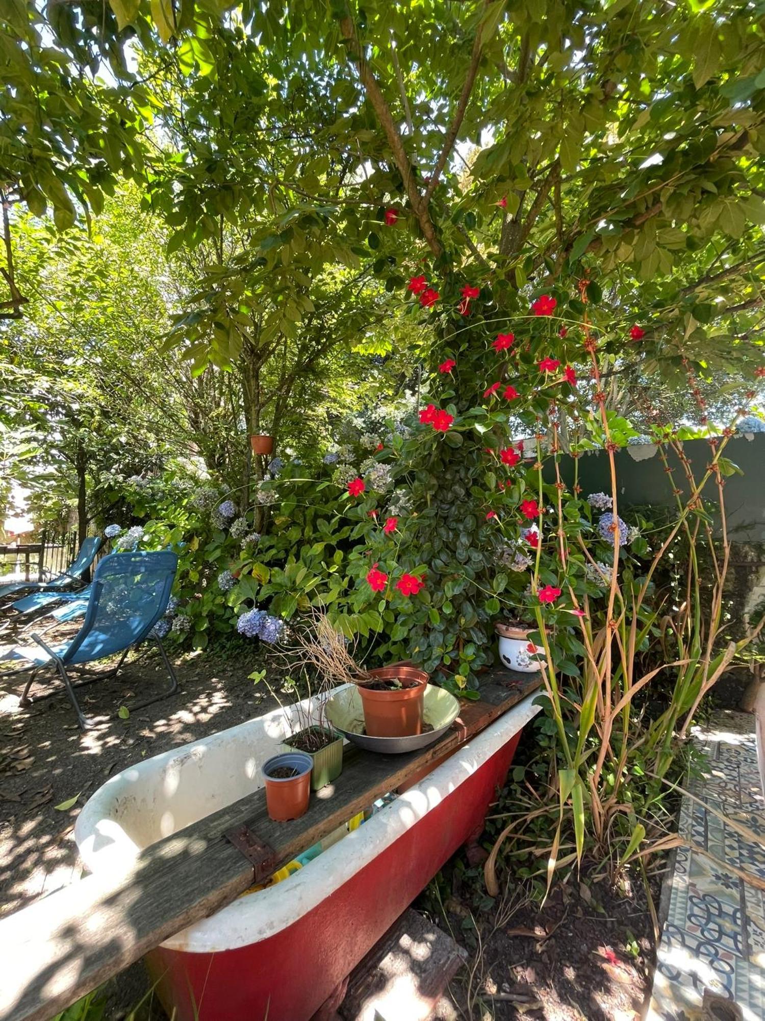 Apartamento Casa Portugueza Experience