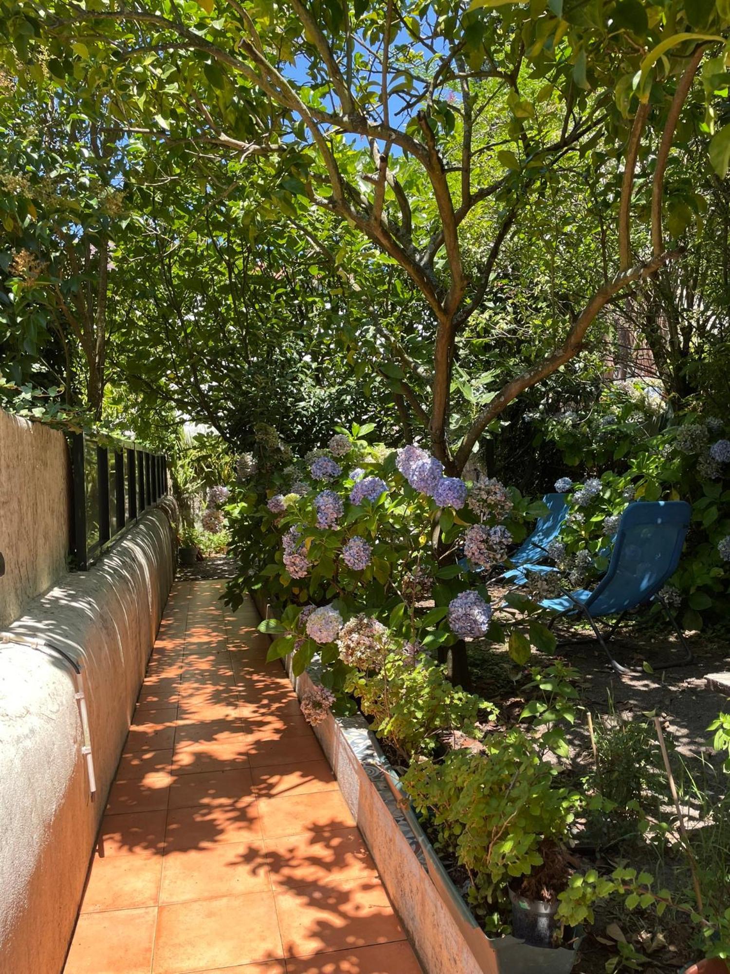 Casa Portugueza Experience Apartamento Porto